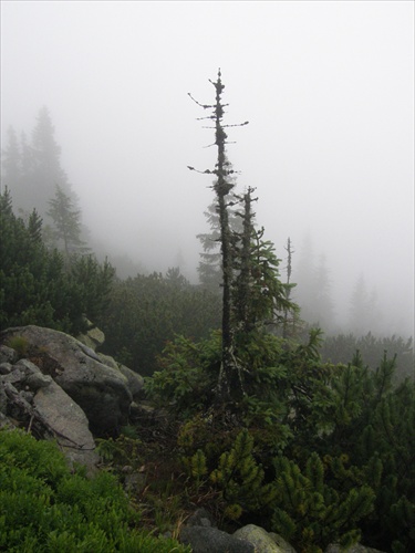 Nizke Tatry