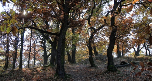 Studený Hrad