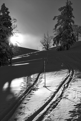 Veľká Fatra v zime