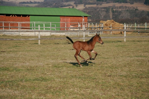 Radosť z pohybu II