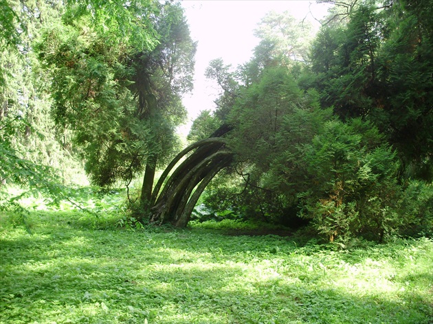 Park v Štiavničke