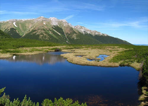 Pleso