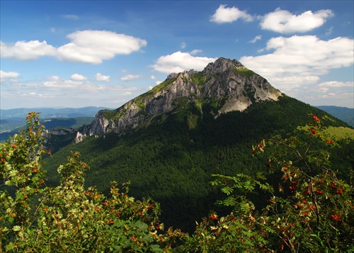 Veľký Rozsutec