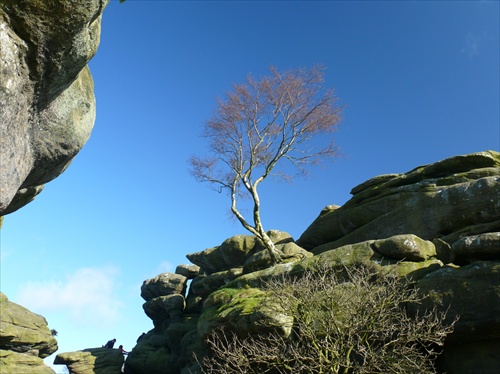 Brimham Rocks