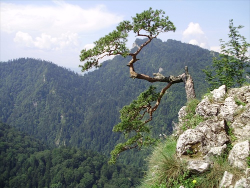 Pieniny