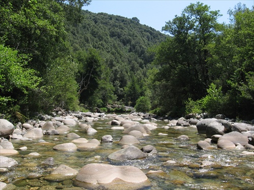 La riviere en Corse