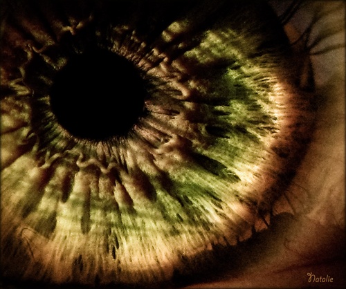 Eye