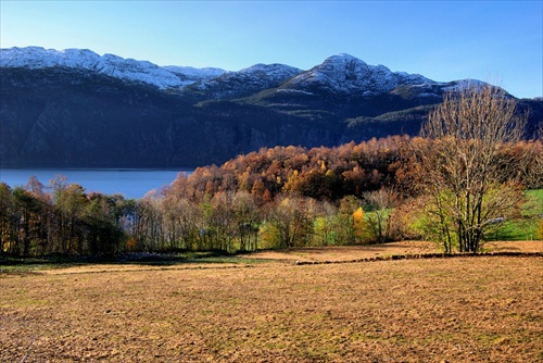 jesenne polia, spadnute listie...