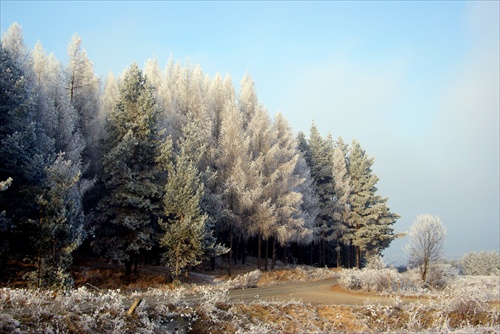 Hmla sa rozplynula