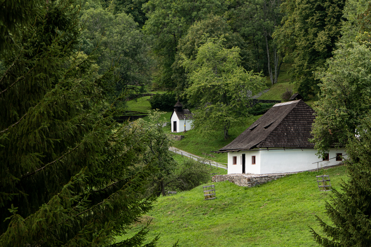 Kalište