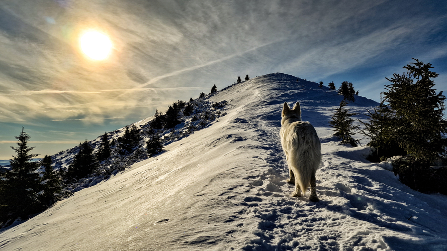 Slnečný kúpeľ pod Rakytovom (Veľká Fatra)