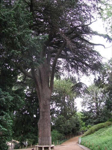 Jardin des Plantes