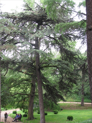 Jardin des Plantes