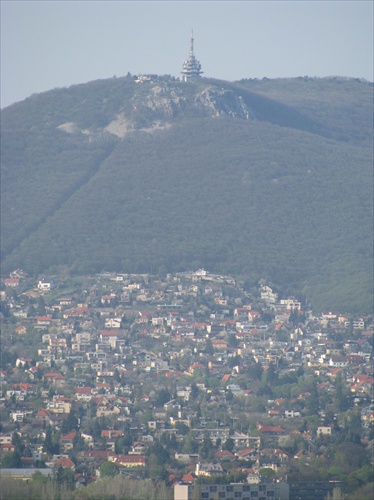 Nitra