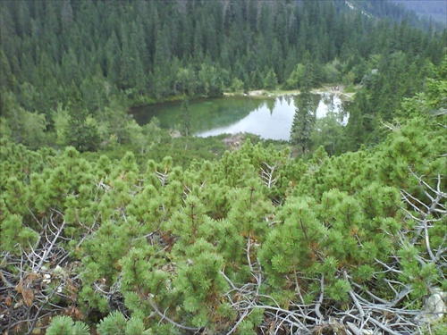 Roháče včera-Zelené pleso