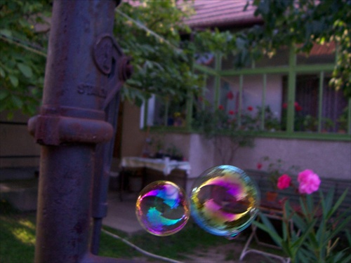 bubbles