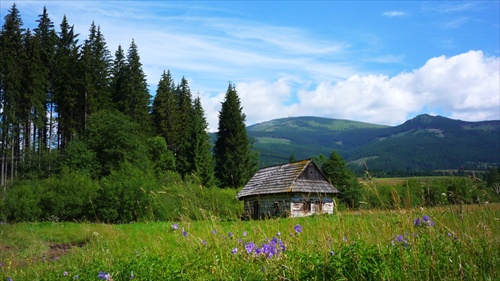 Pod Kráľovou hoľou