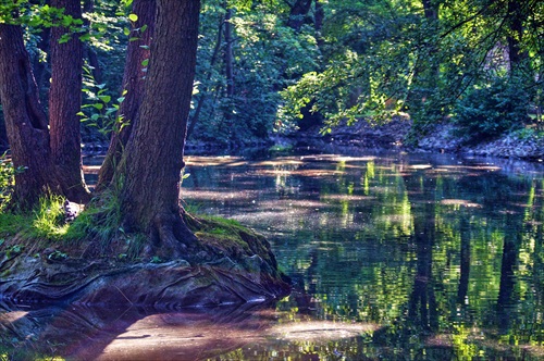 Pezinský park