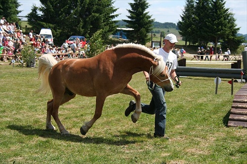 Huculská Paráda 2008 Sihla