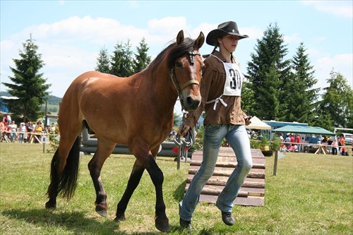 Huculská Paráda 2008 Sihla