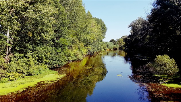 Prírodná rezervácia Klatovské rameno s cyklotrasami