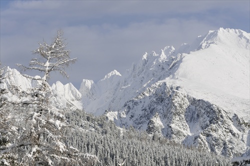 Tatry