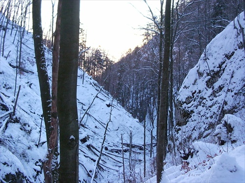 Javornikova dolina/Muranska planina