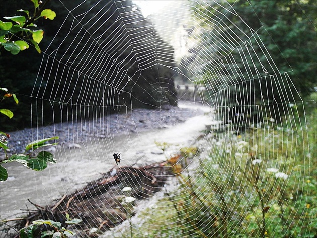 ... cestou do Tiesňav ...