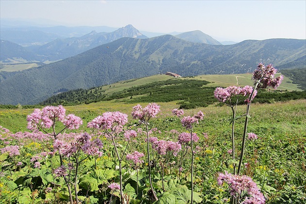 Malá Fatra