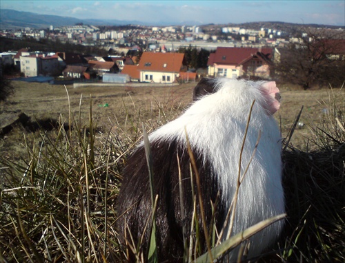 pohľad na mesto