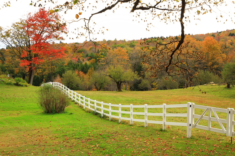 NEW ENGLAND,USA