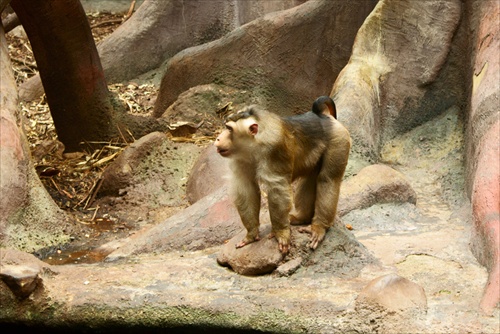 ZOO Praha