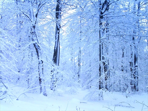 čo napáchala peri(u)nbaba :-))