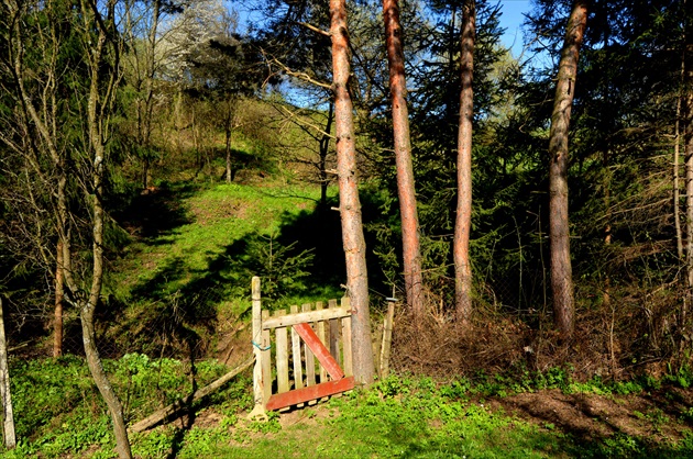 lesná idylka :-)