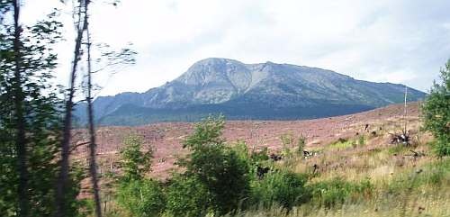 Tatry smutné bez lesa...