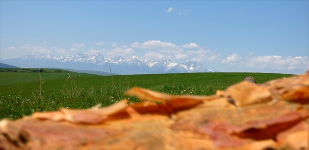 Tatry spoza kôry