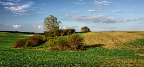 ODPOLEDNÍ VYCHÁZKA