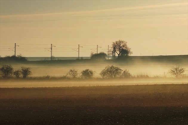 ZE ŠATOVA DO VÍDNĚ