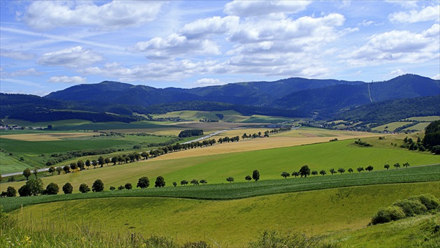 cestou na Spišský hrad