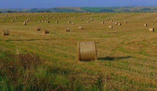 Kotúčikovo