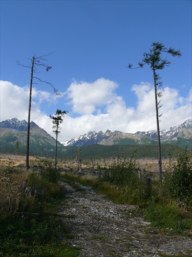 Vysoké Tatry 2