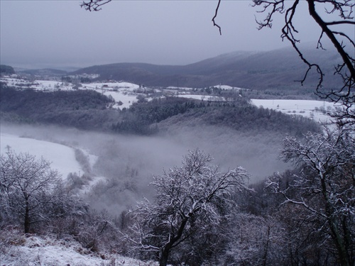 Slovenska zima