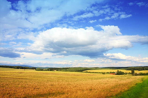 Nedeľný Petrovec