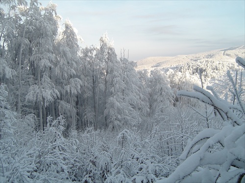 MaléKarpaty