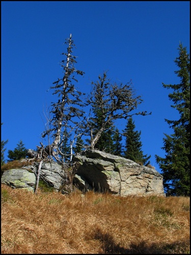 Nízke Tatry