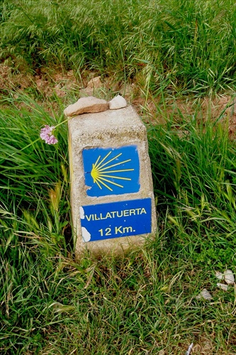 Camino de Santiago (14)