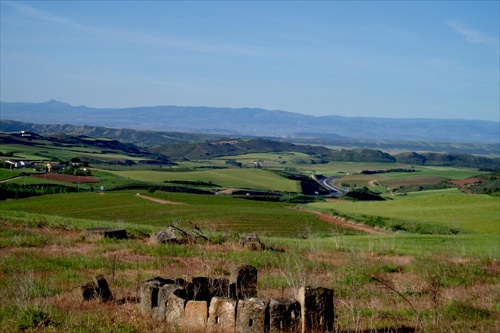 Camino de Santiago (21)