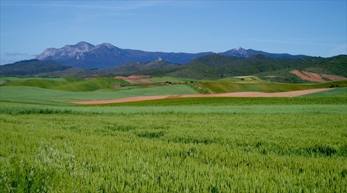 Camino de Santiago (22)