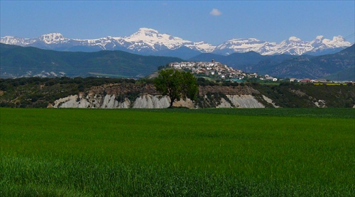 Camino Aragones (25) - Berdún