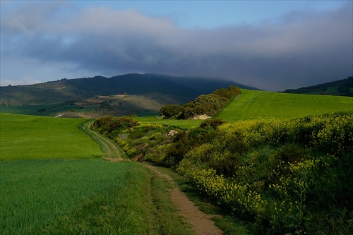 Camino Aragones (33) - krajinou Navarry